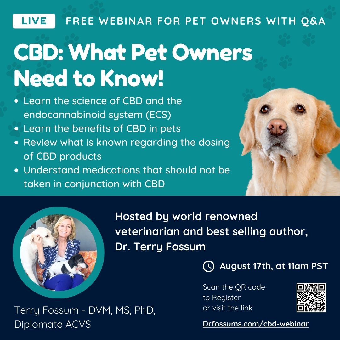 join-a-free-webinar-cbd-what-pet-owners-need-to-know-the-honest-vet